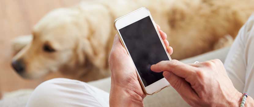 휴대폰 보기 40cm